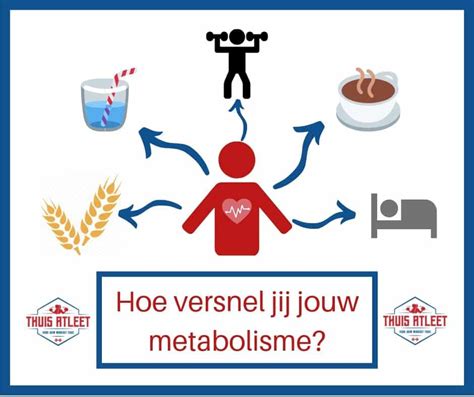 Hoe Je Metabolisme Kan Bewegen